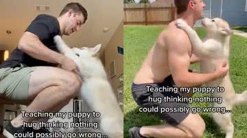 Reprodução / Twitter @TDC_tododiacaes