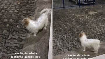 Reprodução / TikTok @mavi.ssantos