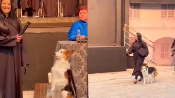 Reprodução / Instagram @yamamoto.adestramento