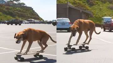 Reprodução / Instagram @bambooskates