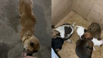 Reprodução / TikTok @patyday7