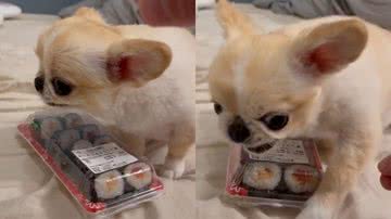 Reprodução / TikTok @jmcbeast79