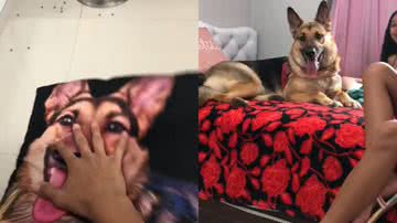 Reprodução / TikTok @dreewsyn