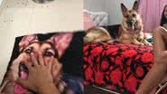Reprodução / TikTok @dreewsyn