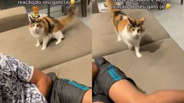 Reprodução / TikTok @michel14mendes