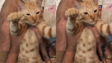 Reprodução / Instagram @potterpri