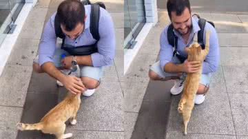 Reprodução / Twitter @Animalesybichos