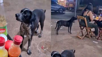 Reprodução / TikTok @mario_costta