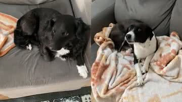 Reprodução / @gobackto505