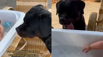 Reprodução / TikTok @scar.simba