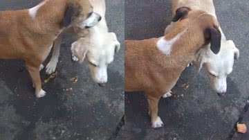 Reprodução / TikTok @myriamrangel74