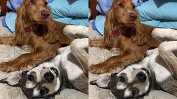 Reprodução / TikTok @nalathexplorer