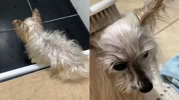 Reprodução / TikTok @bonodiass