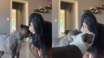 Reprodução / TikTok @tutoradeamstaff