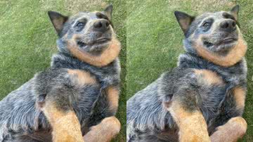 Reprodução / TikTok @maribergami