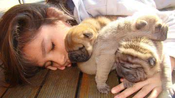 Ilustrativa / Pixabay