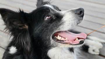 Ilustrativa / Pixabay