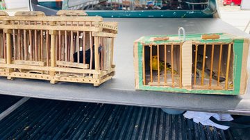 Divulgação/COPPA PM-BA