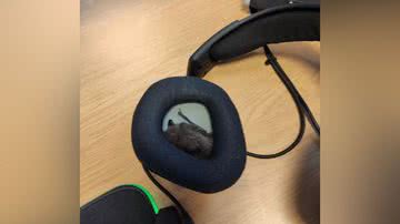 Reprodução/Reddit/Soulacler