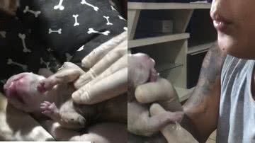 Reprodução/TikTok @dayvidoliveira7