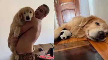 Reprodução/Instagram @franciscovitti