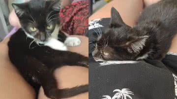 Reprodução/TikTok @monalisaegabriel