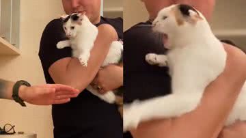 Reprodução/TikTok @mura_13