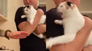 Reprodução/TikTok @mura_13