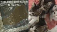 Reprodução/TikTok