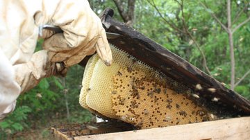 Divulgação/Governo do Tocantins