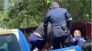 Reprodução/ vídeo