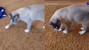 Reprodução/TikTok @lizuzeda