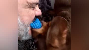 Reprodução/Twitter @luatoschi