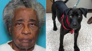 Reprodução/Facebook/Texas EquuSearch