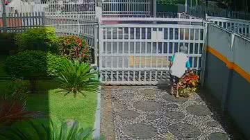 Reprodução/ Vídeo