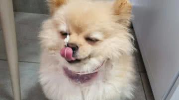 Reprodução/TV Anhanguera