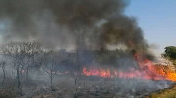 José Cruz/Agência Brasil