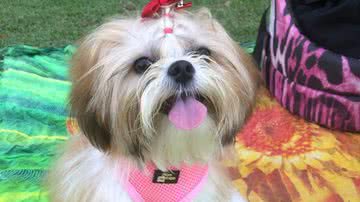 Arquivo Pessoal / Lucas Andrade