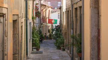 Divulgação / Larah Vidotto - Pixabay