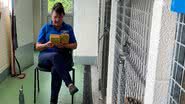 Divulgação/RSPCA/Triangle News