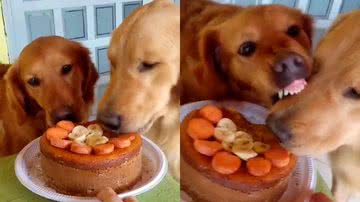 Reprodução/TikTok @nutellaepacoca.goldens