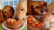 Reprodução/TikTok @nutellaepacoca.goldens