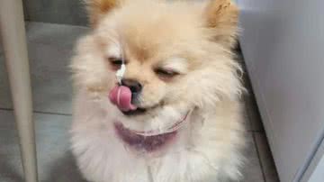 Reprodução/TV Anhanguera