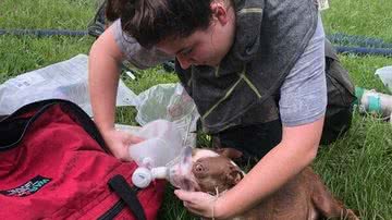 Reprodução/Facebook/Columbia County Fire Rescue