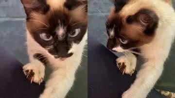 Reprodução/TikTok @miriadiogomakeup