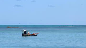 Divulgação / Thanks for a like - Pixabay