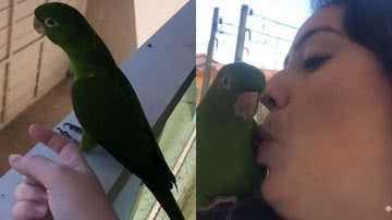 Reprodução/TikTok @yara.fogaca