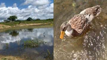 Reprodução/TikTok @eusouoigor