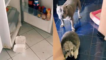 Reprodução/TikTok @paulaferalves85