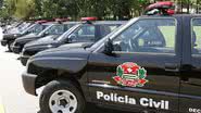 Ciete Silvério/Governo de São Paulo
